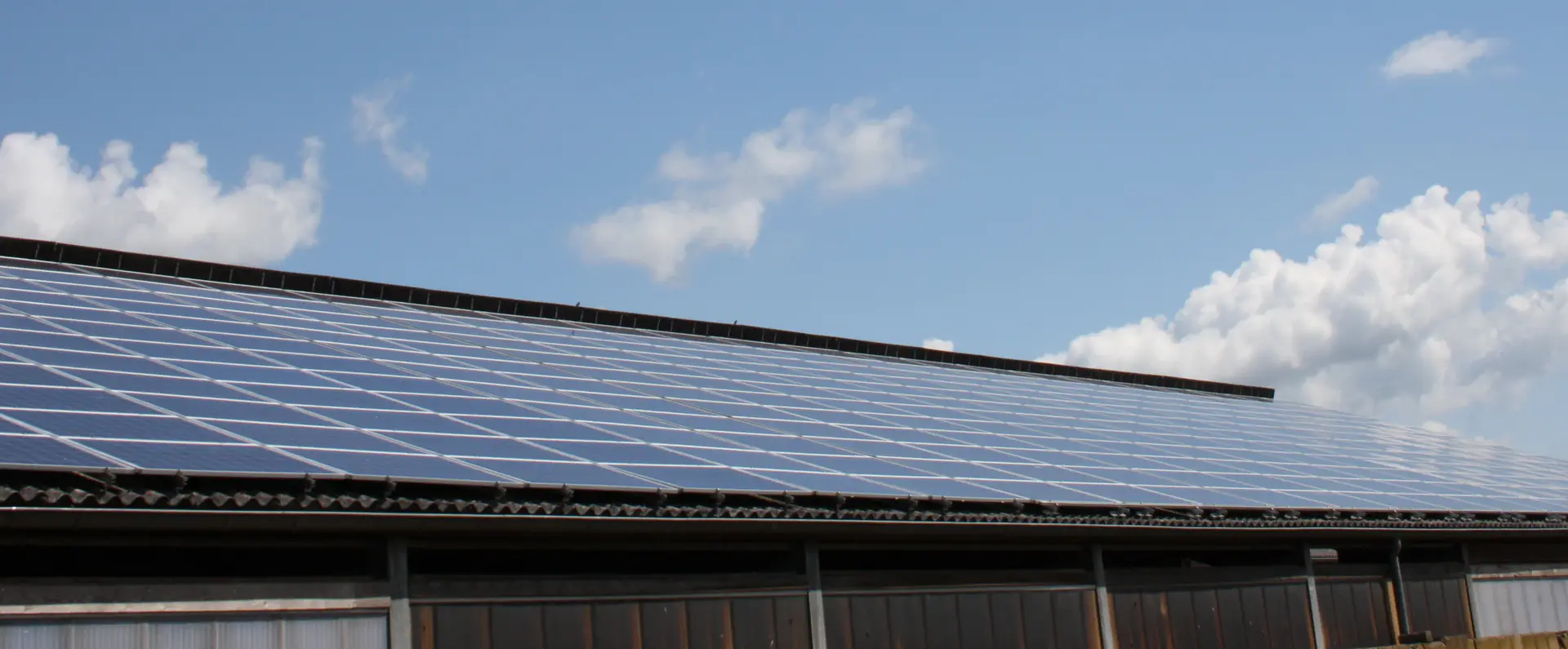 Photovoltaikmodule unter blauem Himmel